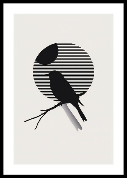 Plakat 30x45cm Kontrast Smukłości zdjęcie 3