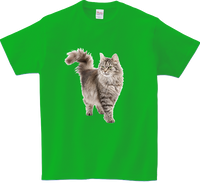 Koszulka T-shirt Kot