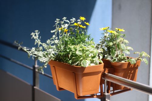 Dwustronny uchwyt do doniczki LOBELIA na Arena.pl