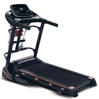 BIEŻNIA TRENINGOWA ELEKTRYCZNA BZ-425.M