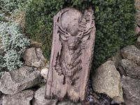 product-compare-59685229