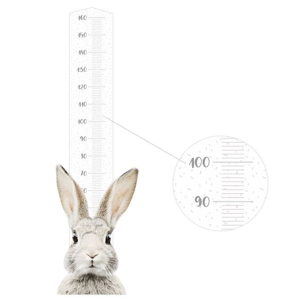 Naklejka Miarka Wzrostu Stefan DK348 zdjęcie 2