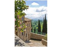 50X70CM RÓŻE BALKONIE OBRAZ PION ŚCIAN