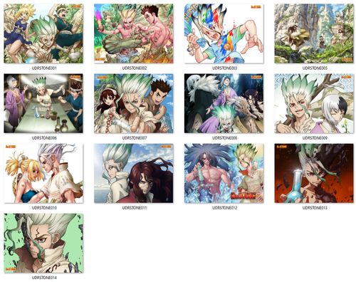 Poduszka Dr Stone DO WYBORU na Arena.pl