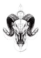 Plakat szkic czaszka geometria 70x100 cm