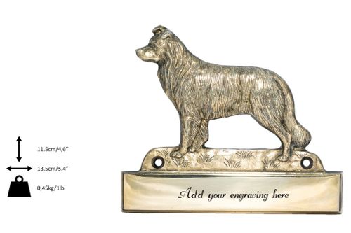 Border Collie - tabliczka - 1699 na Arena.pl