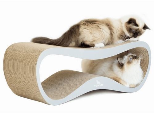 MyKotty Drapak Lui siwy na Arena.pl