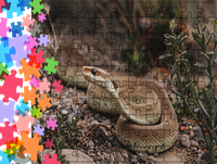 Puzzle tradycyjne Zwierzęta - Wąż