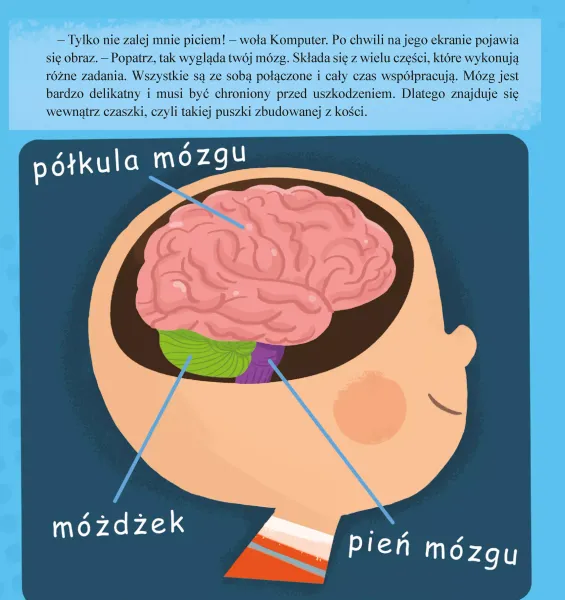 Mózg zdjęcie 5