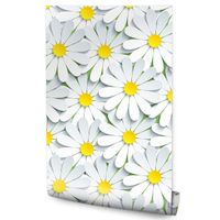 Tapeta Do Jadalni Kwiaty RUMIANEK Natura Ozdoba