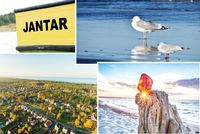 Jantar IV – magnes