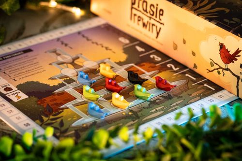 Ptasie Rewiry IUVI Games na Arena.pl