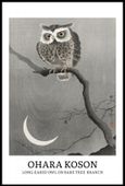 Plakat 61x91,5cm Design Long-Eared Owl, Koson Vintage do Salonu