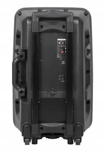 Głośnik Bluetooth 30cm USB Mikrofony Karaoke na Arena.pl