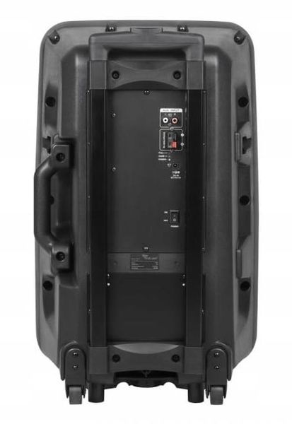 Głośnik Bluetooth 30cm USB Mikrofony Karaoke zdjęcie 3