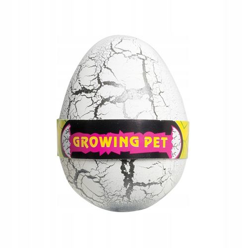 5x JAJO jajko dinozaura wykluwający rosnący DINOZAUR DUŻE NA PREZENT na Arena.pl
