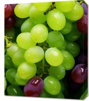 Obraz 50x60cm Winogronowy Kalejdoskop