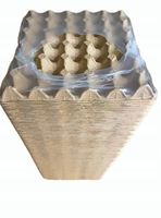 Wytłaczanki na 30 jaj wytłoczki 100 szt