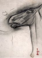 Head of a Horse, Edgar Degas - plakat 40x50 cm