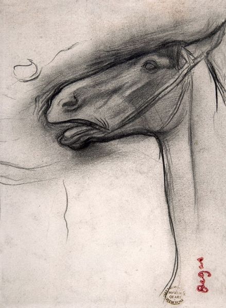 Head of a Horse, Edgar Degas - plakat 21x29,7 cm zdjęcie 1