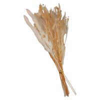 kwiaty naturalne suszone dekoracyjne