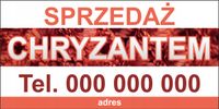 BANER REKLAMOWY OCZKOWANY 200x100 cm SPRZEDAŻ CHRYZANTEM RÓŻNE WZORY