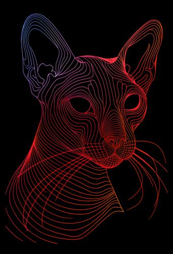 Plakat 30x45cm Cyfrowa Kocica na Arena.pl