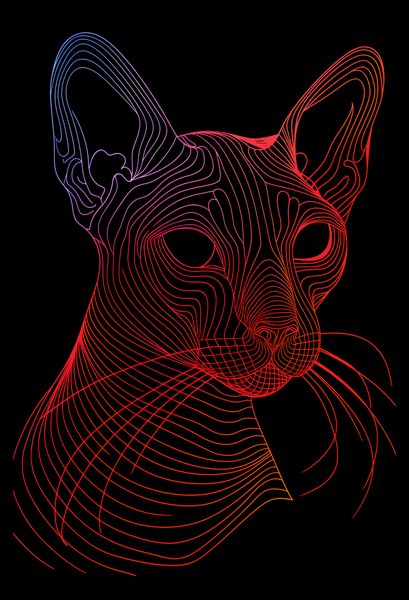 Plakat 30x45cm Cyfrowa Kocica zdjęcie 2