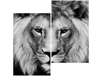 product-compare-58647113