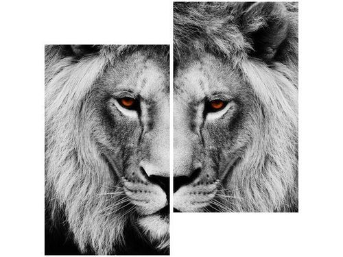 60X60CM LWIE SPOJRZENIE DWU OBRAZ ŚCIAN na Arena.pl