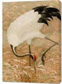 Obraz 70x100cm Sarus Crane, G.A. Audsley Japoński Vintage