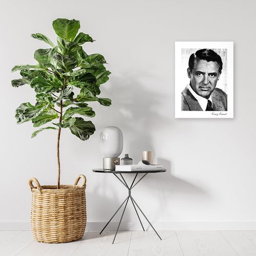 Deco Panel, Cary Grant 40x50 na Arena.pl