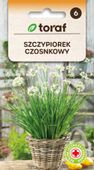 Szczypiorek czosnkowy nasiona 1 g.