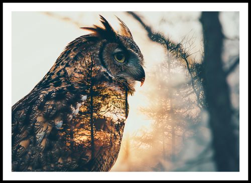 Plakat 84,1x59,4cm Sowi Duch na Arena.pl