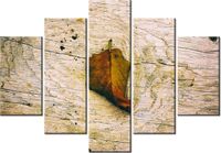 105CM 150CM OBRAZ 5 ELEM JESIENNY LIŚĆ JENNY DOWNING DRUK