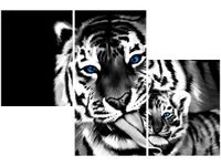 60 90CM OBRAZ 3 ELEM TYGRYSY ŚCIENNY DRUK PŁÓTNO