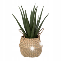 SZTUCZNA ROŚLINA w beżowym koszyku ALOES 37 cm