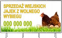 BANER REKLAMOWY 200x100cm duży wybór różne wzory SPRZEDAŻ JAJA WIEJSKIE