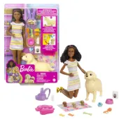 Zestaw Lalka Barbie Z Pieskami i Akcesoriami