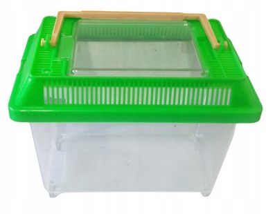 AKWARIUM DLA bojownika Transportówka dla RYB 1,6L na Arena.pl