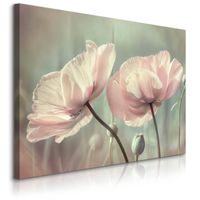 Obraz Na Płótnie Białe Tulipany Kwiaty Natura Do Sypialni 100cm x 70cm