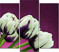 90 80CM OBRAZ T3 ELEM FIOLETOWE TULIPANY DRUK ŚCIENNY