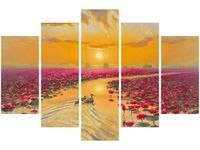 product-compare-58697547