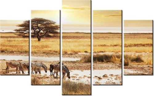 70 100CM OBRAZ 5 ELEM SAFARI DRUK PŁÓTNO na Arena.pl