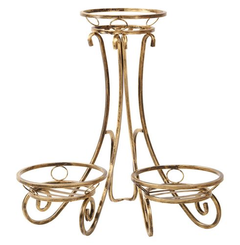 Kwietnik Rogowy 3ka na Arena.pl