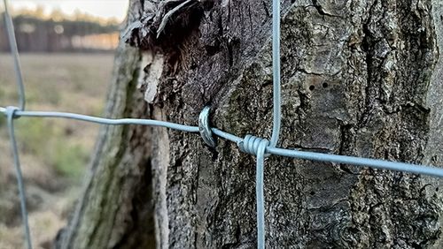 Siatka leśna - 100/12/15 G6 - 50 m na Arena.pl