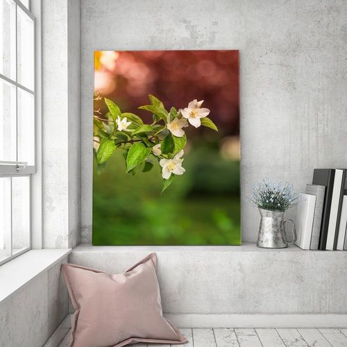 Deco Panel, Kwiaty jaśminu 40x60 na Arena.pl