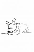 Plakat 56,6x86,4cm Śpiący Corgacz