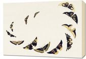 Obraz 70x50cm Butterfly 6, Sekka Japoński Vintage do Salonu