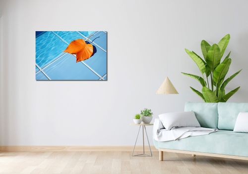 Obraz 90x60cm Liść przy Wodzie na Arena.pl